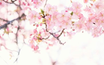 Accueillir le Printemps