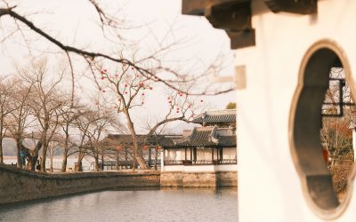 Ancrer le Shen grâce à la Médecine Traditionnelle Chinoise