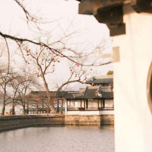 Ancrer le Shen grâce à la Médecine Traditionnelle Chinoise