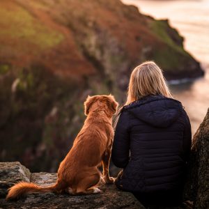 ebook bien vivre avec son chien claire lesage