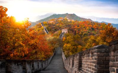 Octobre : l’automne en Médecine Traditionnelle Chinoise